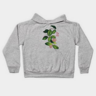 Hoya fitchii in bloom Kids Hoodie